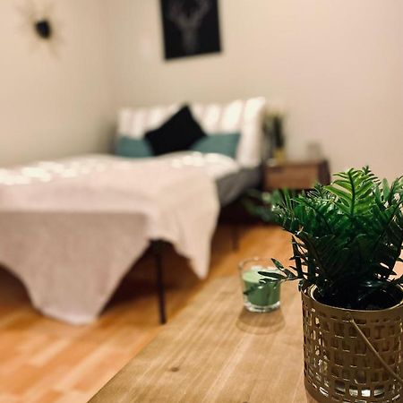 Saniertes Studio - Elisa - Mit Balkon, Wlan, Smart-Tv & Kueche In City-Naehe Erfurt Esterno foto