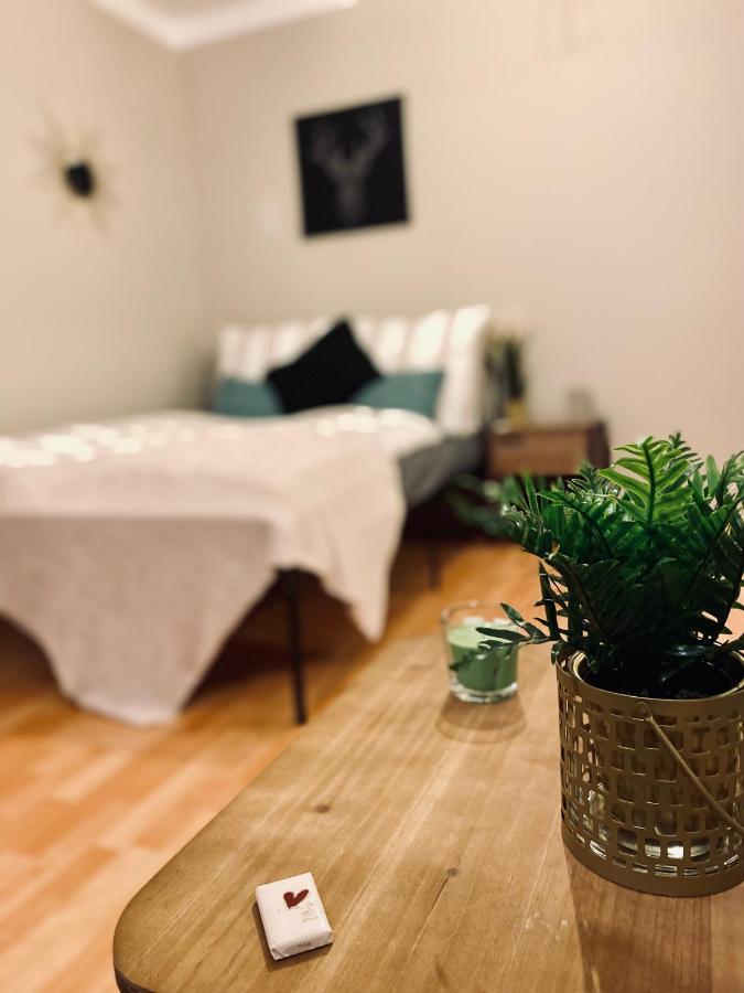 Saniertes Studio - Elisa - Mit Balkon, Wlan, Smart-Tv & Kueche In City-Naehe Erfurt Esterno foto
