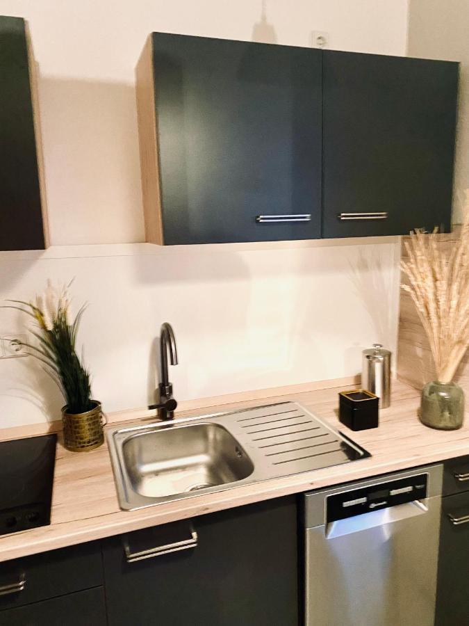 Saniertes Studio - Elisa - Mit Balkon, Wlan, Smart-Tv & Kueche In City-Naehe Erfurt Esterno foto
